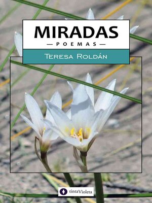 cover image of Miradas